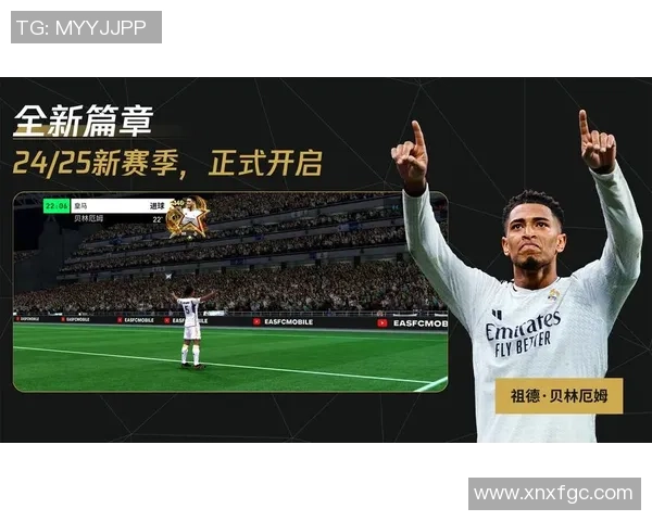 足球世界磁卡带你领略全球足球文化的魅力与激情